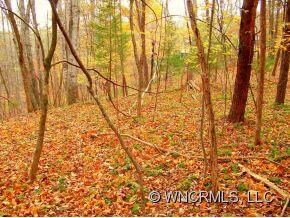 640 Whitney Blvd, Lake Lure, NC 28746 - photo 3