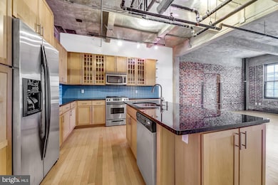 234 Holliday St, Baltimore, MD 21202 - photo 6