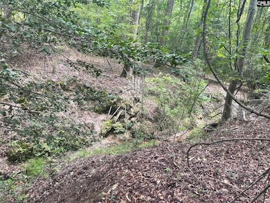 921 Jackson Rd, Ridgeway, SC 29130 - photo 2