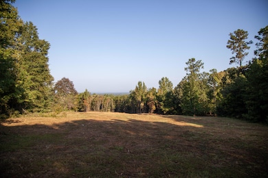 6330 Catchall Rd, Dalzell, SC 29040 - photo 2