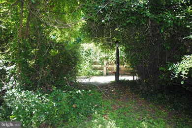 6810 N Charles St, Towson, MD 21204 - photo 7