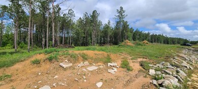 8056 Road 5895, Cleveland, TX 77327 - photo 4