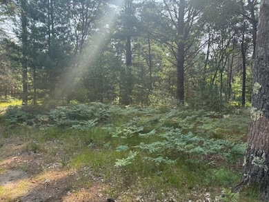 624 W 12th St, Baldwin, MI 49304 - photo 5