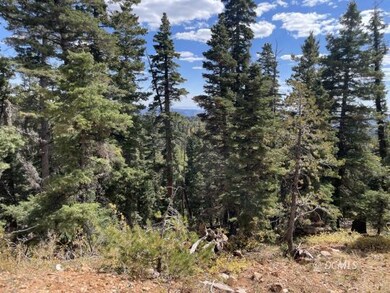 Wooded lot in Navajo Lake Estates