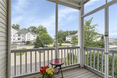 1006 Aqua Marine Blvd unit 44, Avon Lake, OH 44012 - photo 5