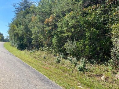 20A Lake Forest Reserve Dr, Bronston, KY 42518 - photo 4