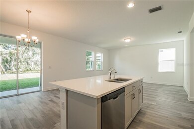 11316 Daybreak Glen, Parrish, FL 34219 - photo 5