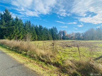 150 Howe Rd, Toledo, WA 98591 - photo 2