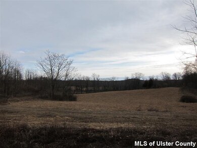 TBD Langridge Rd, Clermont, NY 12583 - photo 5