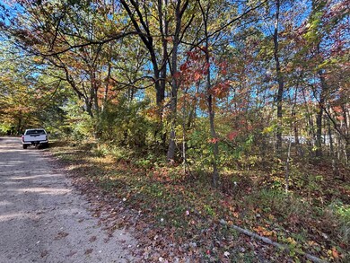 V L 1 47a North Tallman Lake Rd, Fountain, MI 49410 - photo 5