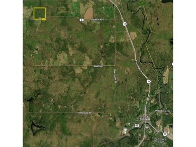 70368 County Highway C, High Bridge, WI 54846 - photo 7