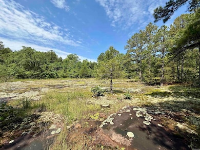 001-01049-000 Cr 128, Calico Rock, AR 72519 - photo 3