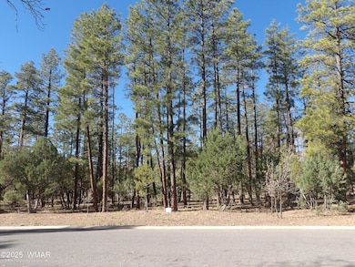 2534 S Aspen Run, Pinetop, AZ 85935 - photo 2