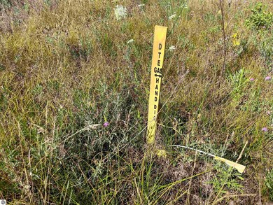 6324 W Pine Point Rd, Grayling Township, MI 49738 - photo 5