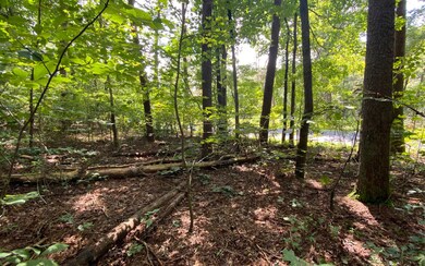Additional View