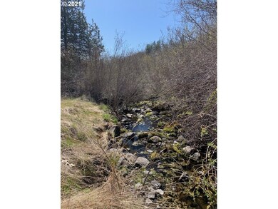 118 High Valley Rd unit 39,40, Goldendale, WA 98620 - photo 5