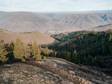 TBD Boles Rd, Cottonwood, ID 83552 - photo 2