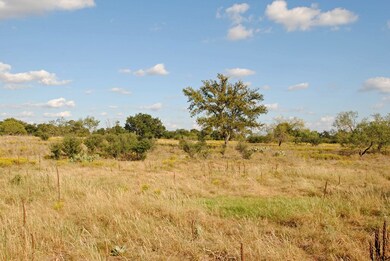 523 Funf Kinder Rd, Fredericksburg, TX 78624 - photo 4