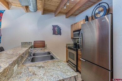 725 E College Dr unit 3, Durango, CO 81301 - photo 6