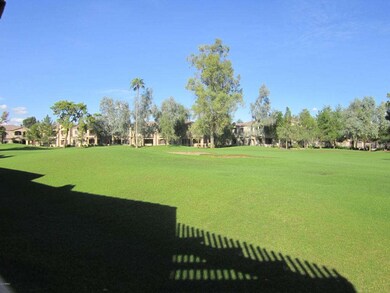 View from the patio