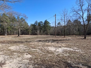 150 Log Cabin Rd, Aiken, SC 29805 - photo 3