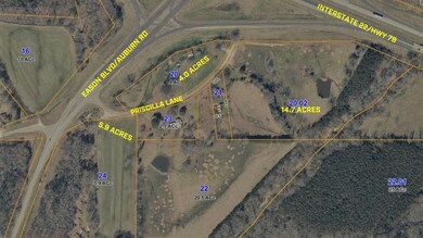 Interstate 22_HWY 78 (2)