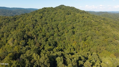 32.38 Ac Panther Creek Rd, Sneedville, TN 37869 - photo 6