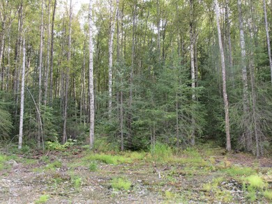 L5D Saxton Ct, Hope, AK 99605 - photo 2