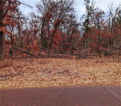XXX Lot 4 Hayden Lake Rd, Danbury, WI 54830 - photo 4
