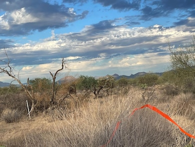 13015 W Gunsmoke Rd, Tucson, AZ 85736 - photo 5