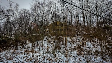 0 N Rife Rd unit 25766690, Middleport, OH 45760 - photo 7