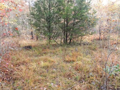 0 Bennett Farm Rd, Asheboro, NC 27205 - photo 5