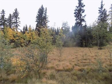 116 Falcon Rd, Como, CO 80432 - photo 3