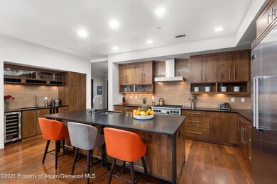 233 E Cooper Ave unit 104, Aspen, CO 81611 - photo 6