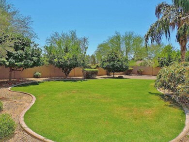 Huge Yard 4