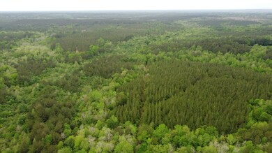 0 Pugh Rd, Shubuta, MS 39360 - photo 5