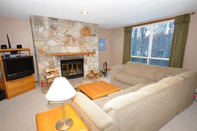 8 Northbrook Village Rd unit C21, Dover, VT 05356 - photo 6