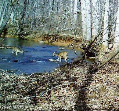 0 Old Foxville Rd unit 1002908400, Warrenton, VA 20186 - photo 3