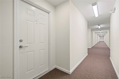 Chandlers Lane Condominiums unit 224, Olmsted Falls, OH 44138 - photo 6