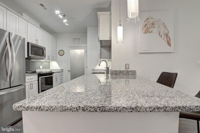 Enclave unit 206, Fairfax, VA 22031 - photo 6