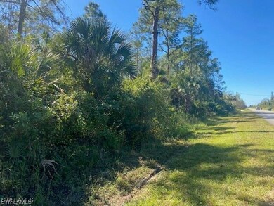 0 Shady Hollow Blvd E unit 225059127, Naples, FL 34120 - photo 4