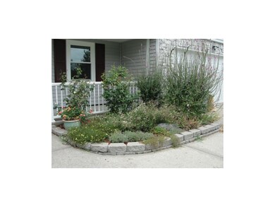 Beautiful Landscaping