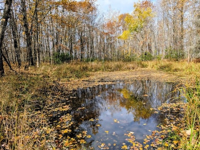 W N 20 School Rd, Glen Flora, WI 54526 - photo 2