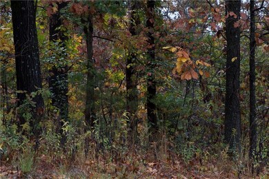 45 Hollowway Dr, Bella Vista, AR 72715 - photo 3