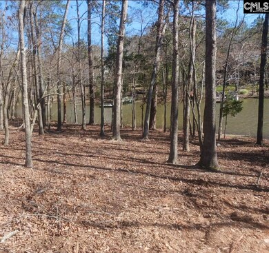 1061 Refuge Place, Chapin, SC 29036 - photo 5