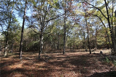 1755 Lee Road 61, Auburn, AL 36832 - photo 6