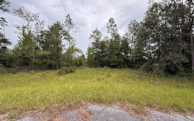TBD 211th Ct, Live Oak, FL 32060 - photo 4