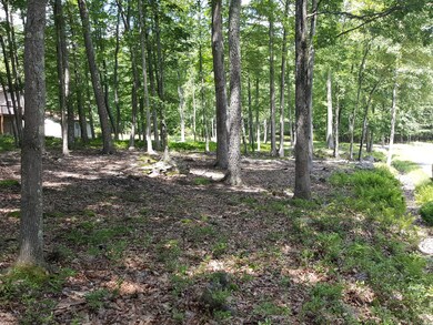 197 Fawn Lake Dr, Lackawaxen Township, PA 18428 - photo 4