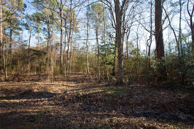 00 County Road 3812, Cleveland, TX 77328 - photo 2