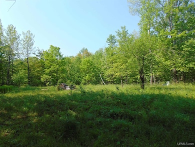 TBD 1 Alston Rd, Laird Township, MI 49958 - photo 2